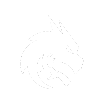 Holo Team Spirit Team Sticker - TI 2025